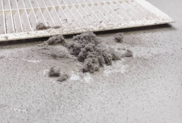 Best Local Air Duct Cleaning Services  in Thomson, GA